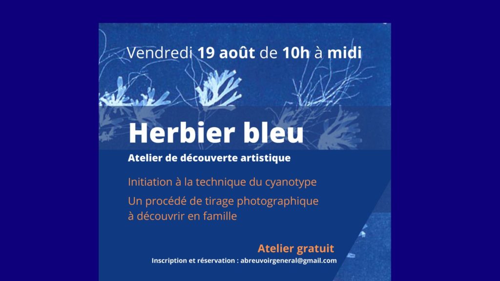 Photographie par cyanotype