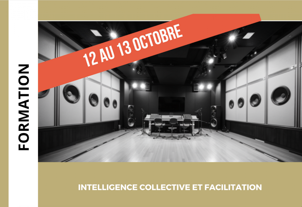 FORMATION INTELLIGENCE COLLECTIVE