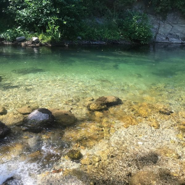 parc national des cevennes