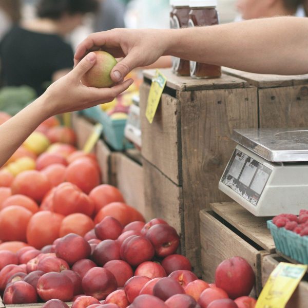 marché-dans-les-cevennes marché-dans-les-cevennes